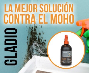 La mejor solución contra el moho